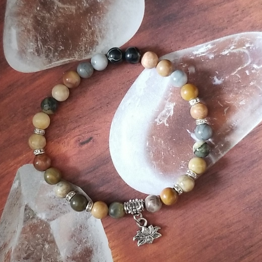 💎 2 for $25 💎 Petrified Wood